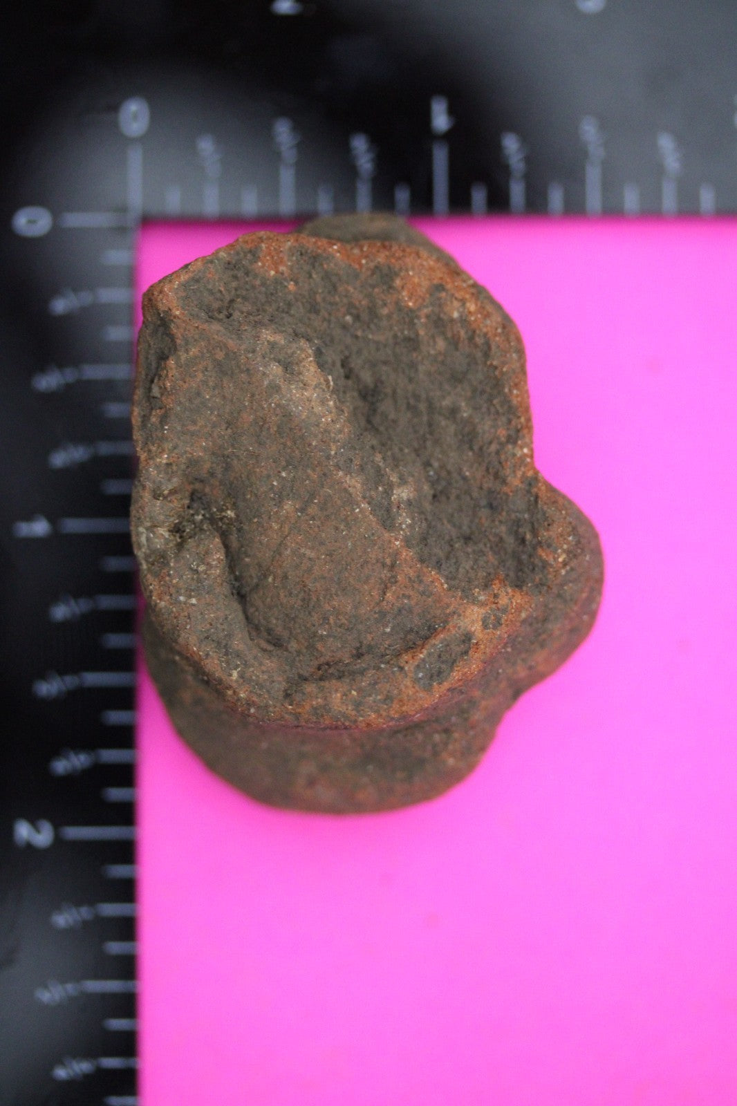 Puerto Rico Taino Pre Columbian Pottery Artifact FREE Display Case 1000AD COA 26