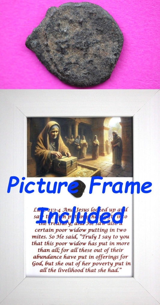 Widows Mite Coin Holy Land Artifact Free Display Frame Jesus Christ Lifetime 99