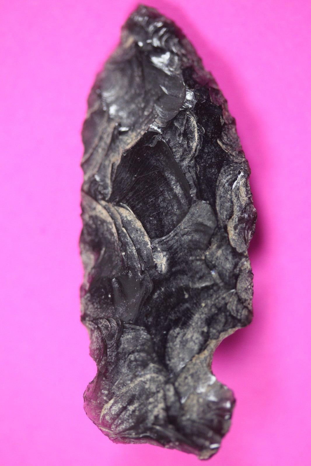 Pre Columbian Artifact Authentic Aztec Arrowhead Battle of Mexico City COA 16