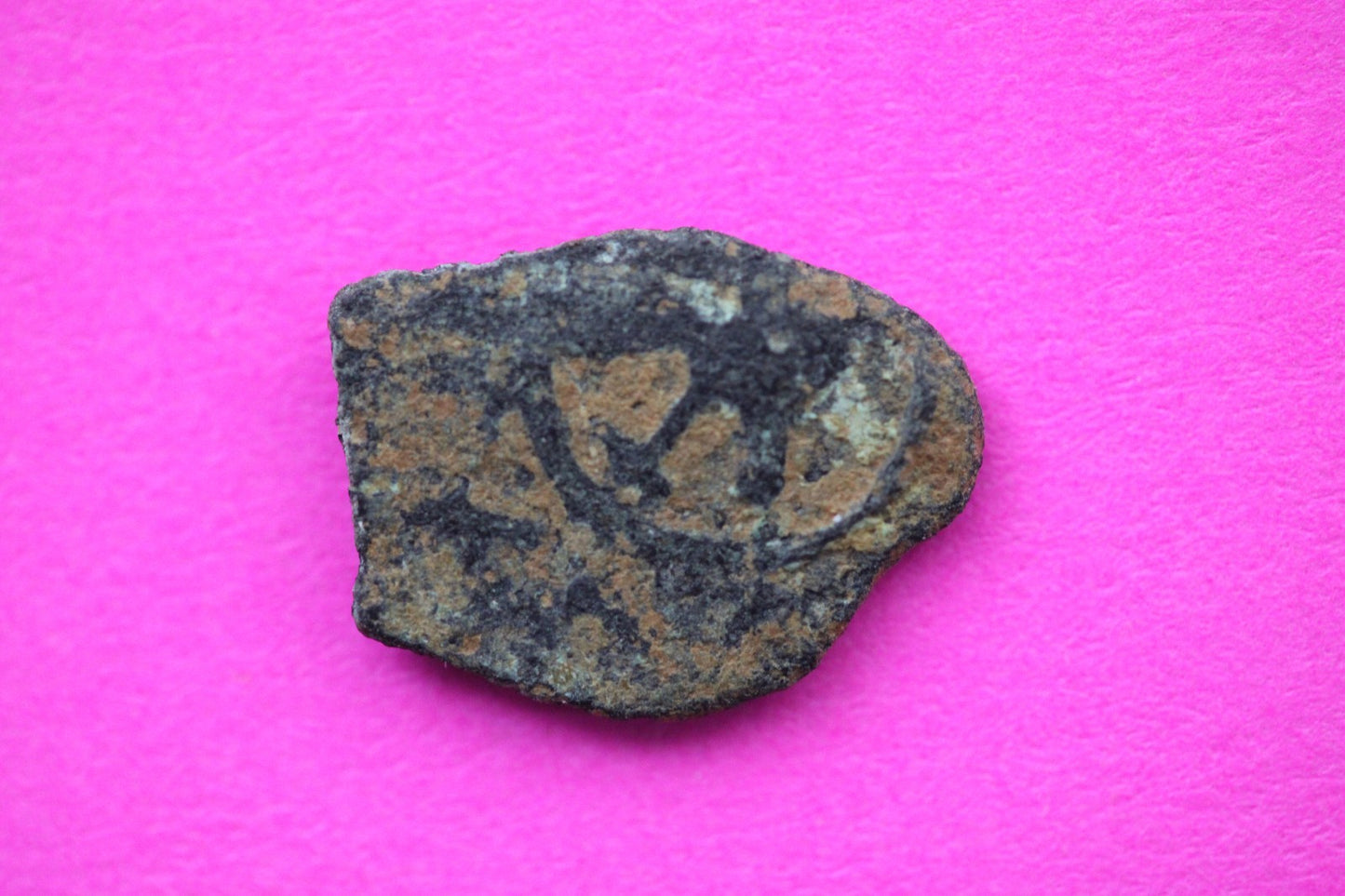 Widows Mite Coin Holy Land Artifact Free Display Frame Jesus Christ Lifetime 193