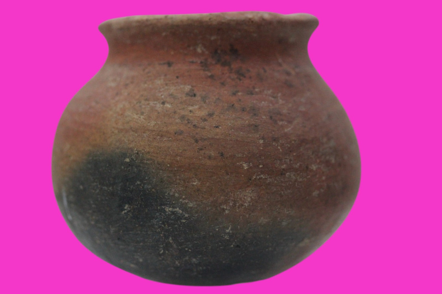 Pre Columbian Authentic Artifact Colima Cooking Pot Mexico 200BC - 200AD COA J14