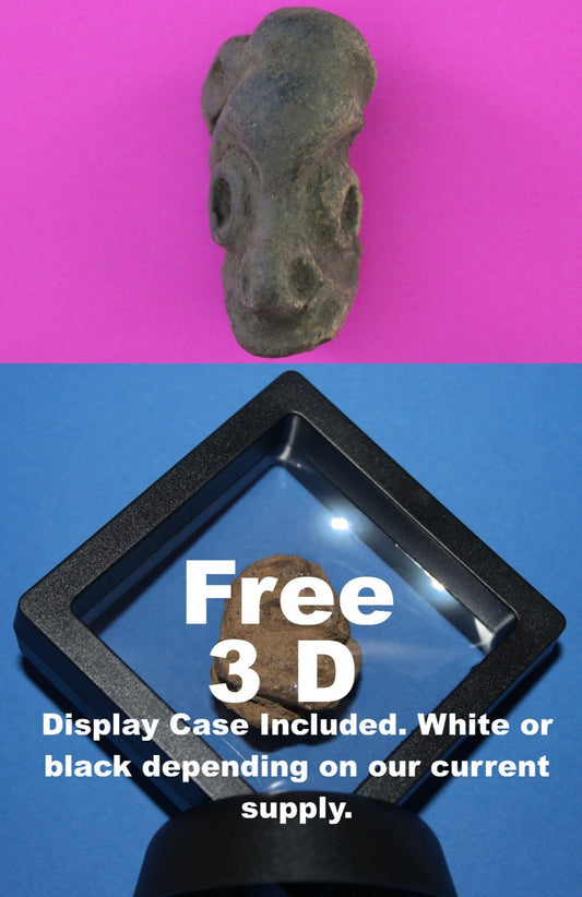 Puerto Rico Taino Pre Columbian Pottery Artifact FREE Display Case 1000A COA 100