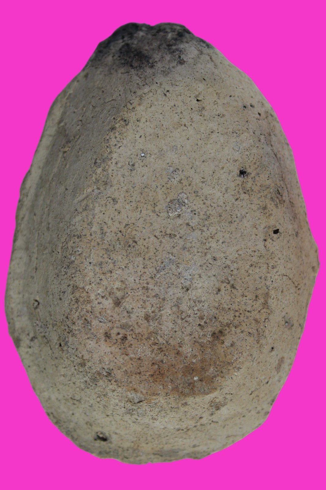 Oil Lamp Holy Land Ancient Artifact Jesus Christ Home Israel 300-600 AD COA 105