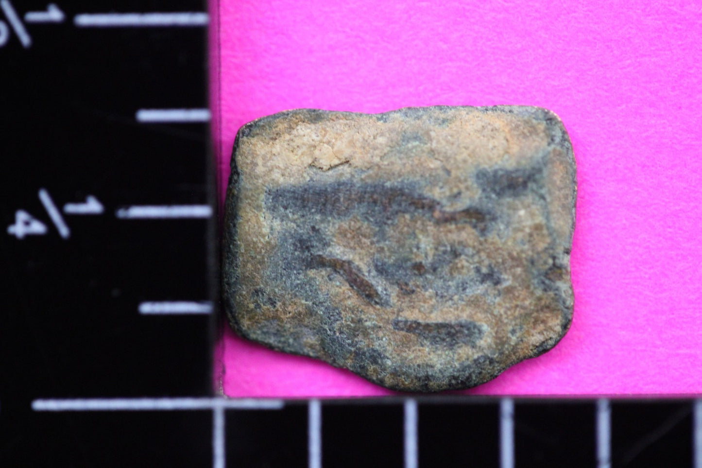 Widows Mite Coin Holy Land Artifact Free Display Frame Jesus Christ Lifetime 86