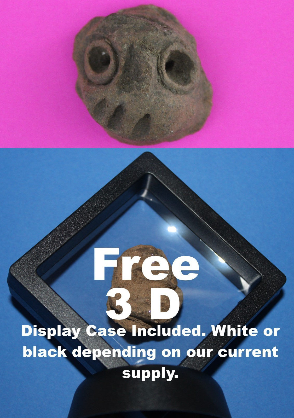 Puerto Rico Taino Pre Columbian Pottery Artifact FREE Display Case 1000AD COA 73