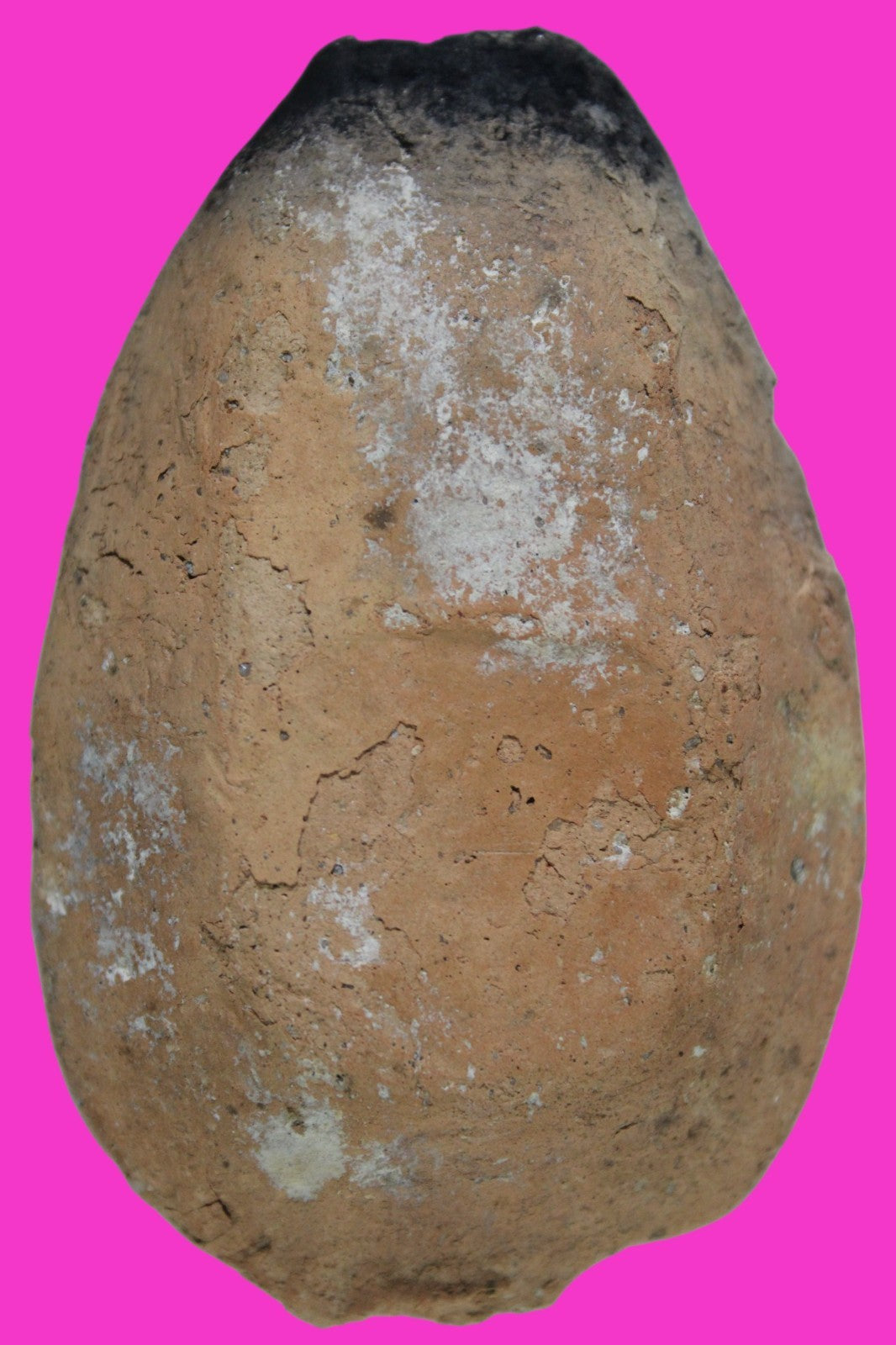 Ancient Holy Land Oil Lamp Artifact 2 Hidden Christian Crosses 300-600AD COA 135