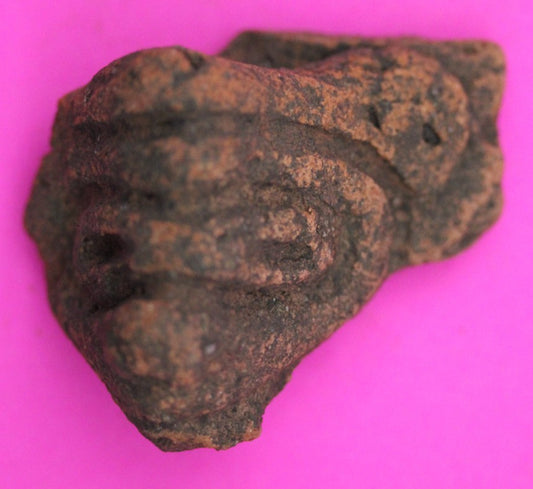 Puerto Rico Taino Pre Columbian Pottery Artifact FREE Display Case 1000AD COA 23