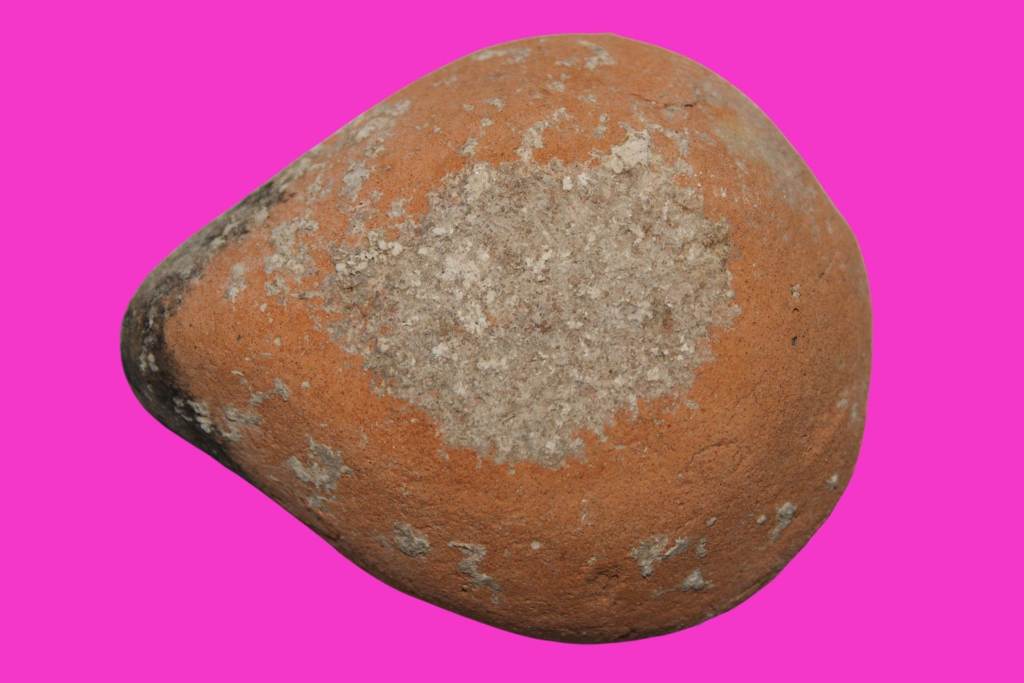 Ancient Holy Land Oil Lamp Artifact Jesus Christ Home Land 100BC-100AD COA 49