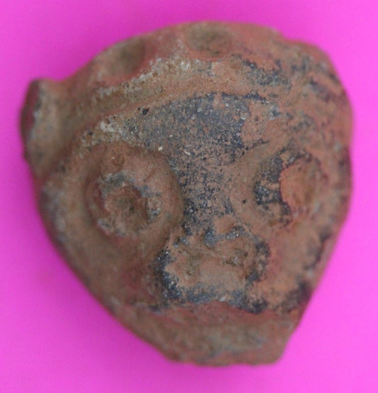 Puerto Rico Taino Pre Columbian Pottery Artifact FREE Display Case 1000AD COA 28