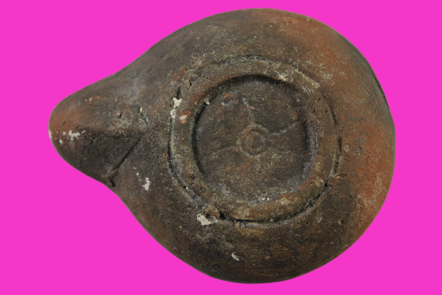 Ancient Holy Land Oil Lamp Artifact Jesus Christ Homeland 100 - 400 AD COA L06