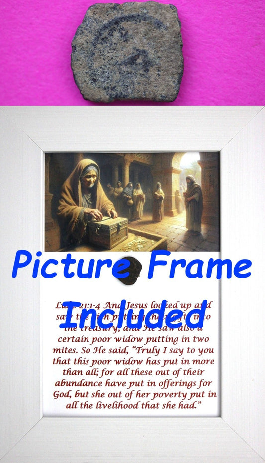 Widows Mite Coin Holy Land Artifact Free Display Frame Jesus Christ Lifetime 52