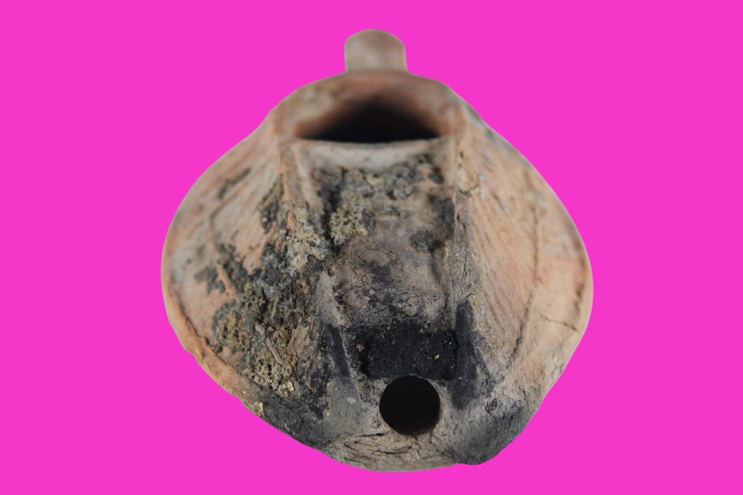 Oil Lamp Holy Land Ancient Artifact Jesus Christ Home Israel 300-600 AD COA 110