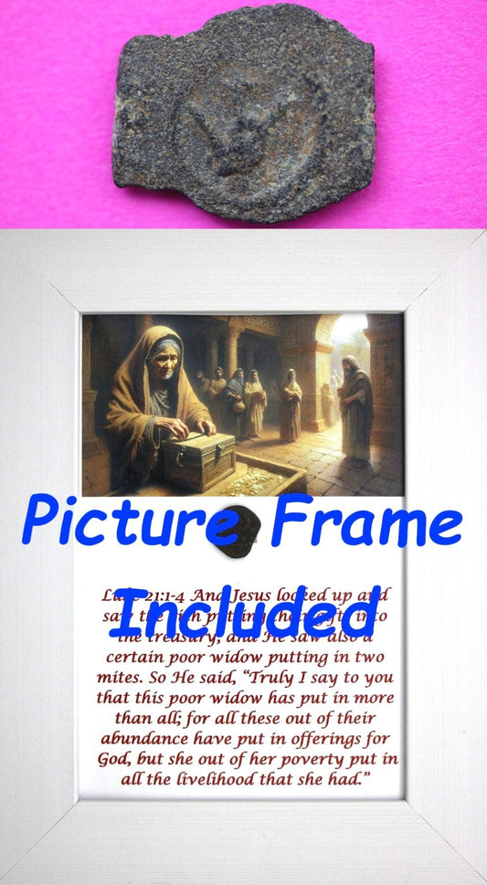 Widows Mite Coin Holy Land Artifact Free Display Frame Jesus Christ Lifetime 206