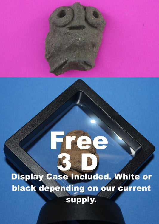 Puerto Rico Taino Pre Columbian Pottery Artifact FREE Display Case 1000AD COA 68