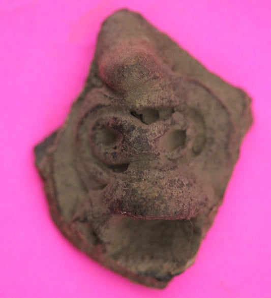 Puerto Rico Taino Pre Columbian Pottery Artifact FREE Display Case 1000AD COA 34