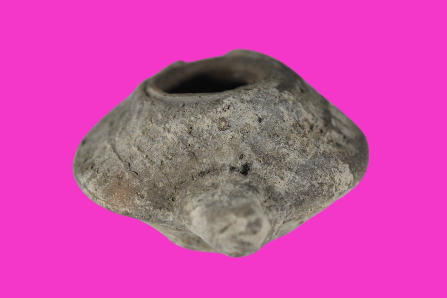 Oil Lamp Holy Land Ancient Artifact Jesus Christ Home Israel 300-600 AD COA 92