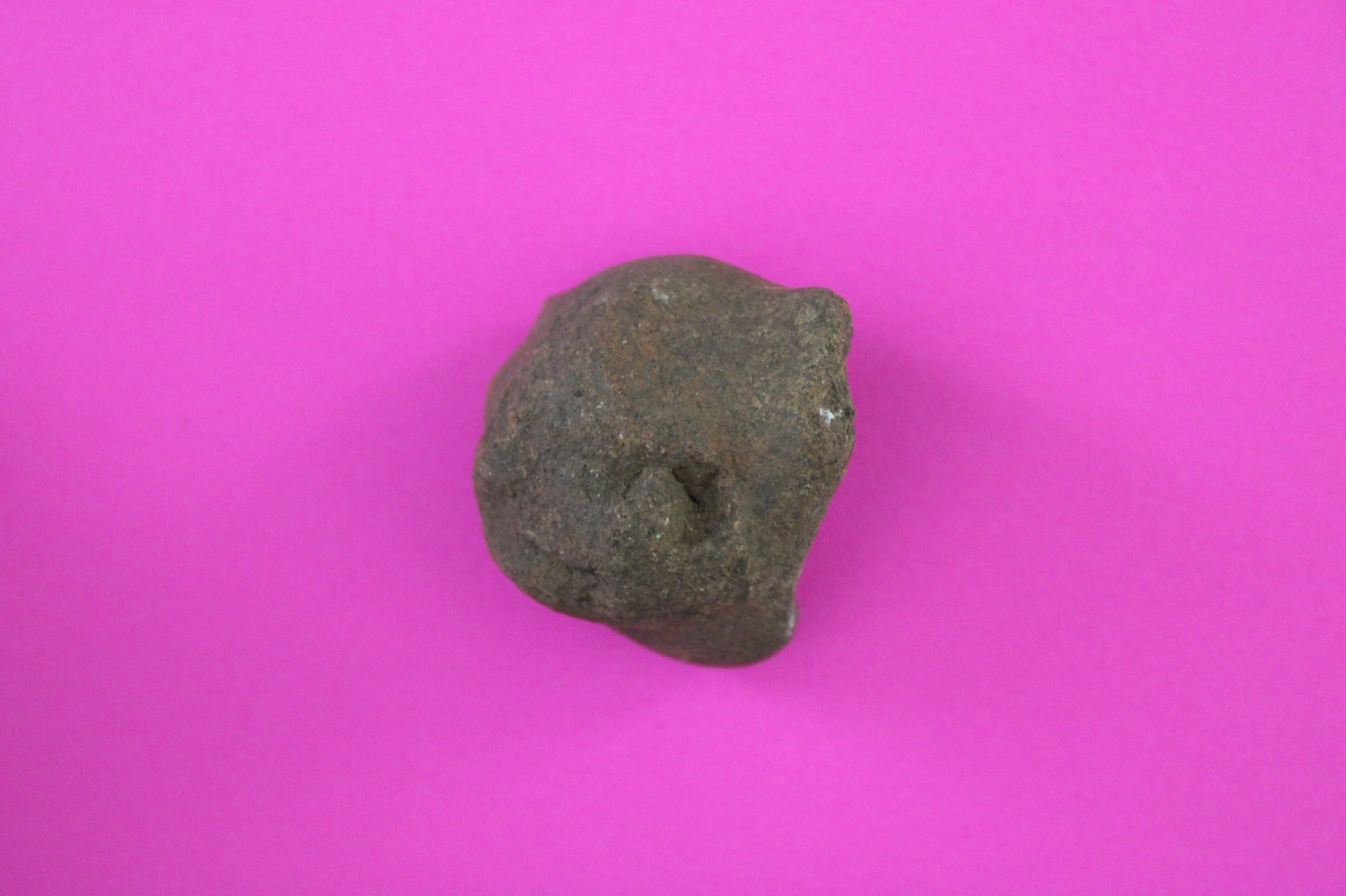 Puerto Rico Taino Pre Columbian Pottery Artifact FREE Display Case 1000AD COA 86