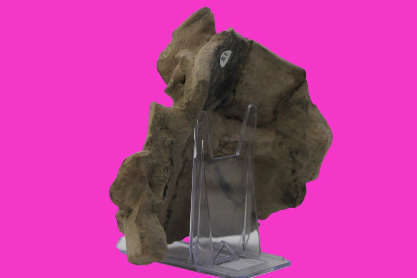 Pre Columbian Artifact Authentic Big Face Ornament Colima Mexico 200 BC COA J104