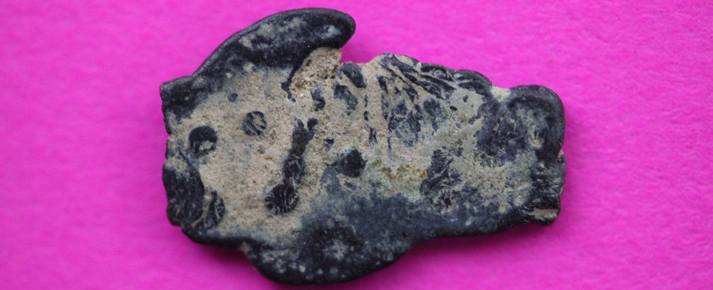 Widows Mite Coin Holy Land Artifact Free Display Frame Jesus Christ Lifetime 196