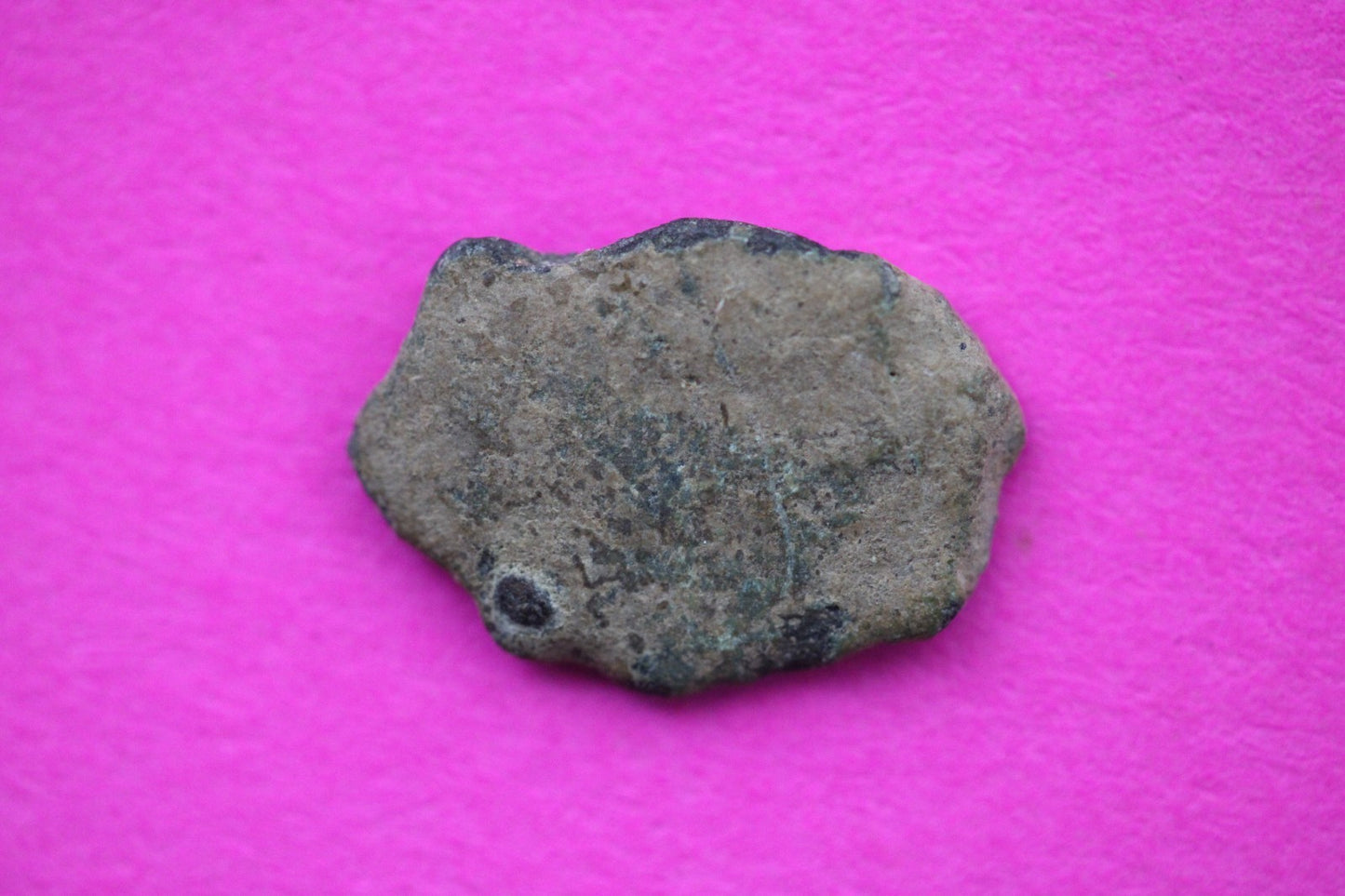 Widows Mite Coin Holy Land Artifact Free Display Frame Jesus Christ Lifetime 60