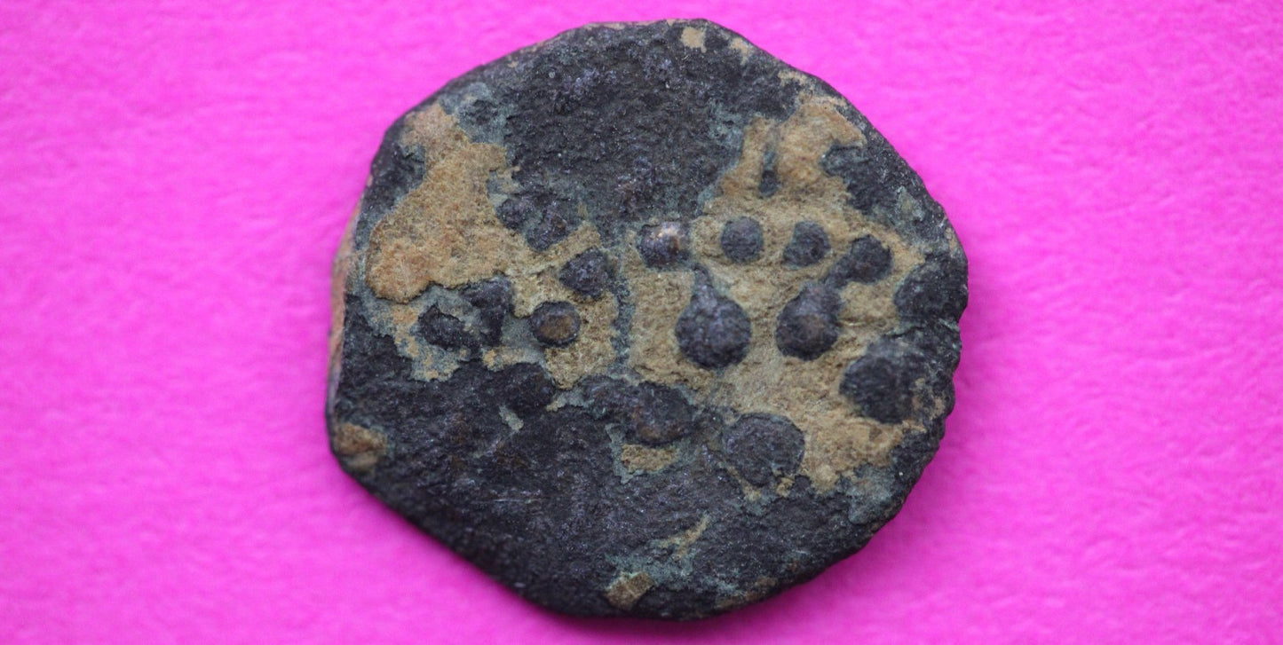 Widows Mite Coin Holy Land Artifact Free Display Frame Jesus Christ Lifetime 169