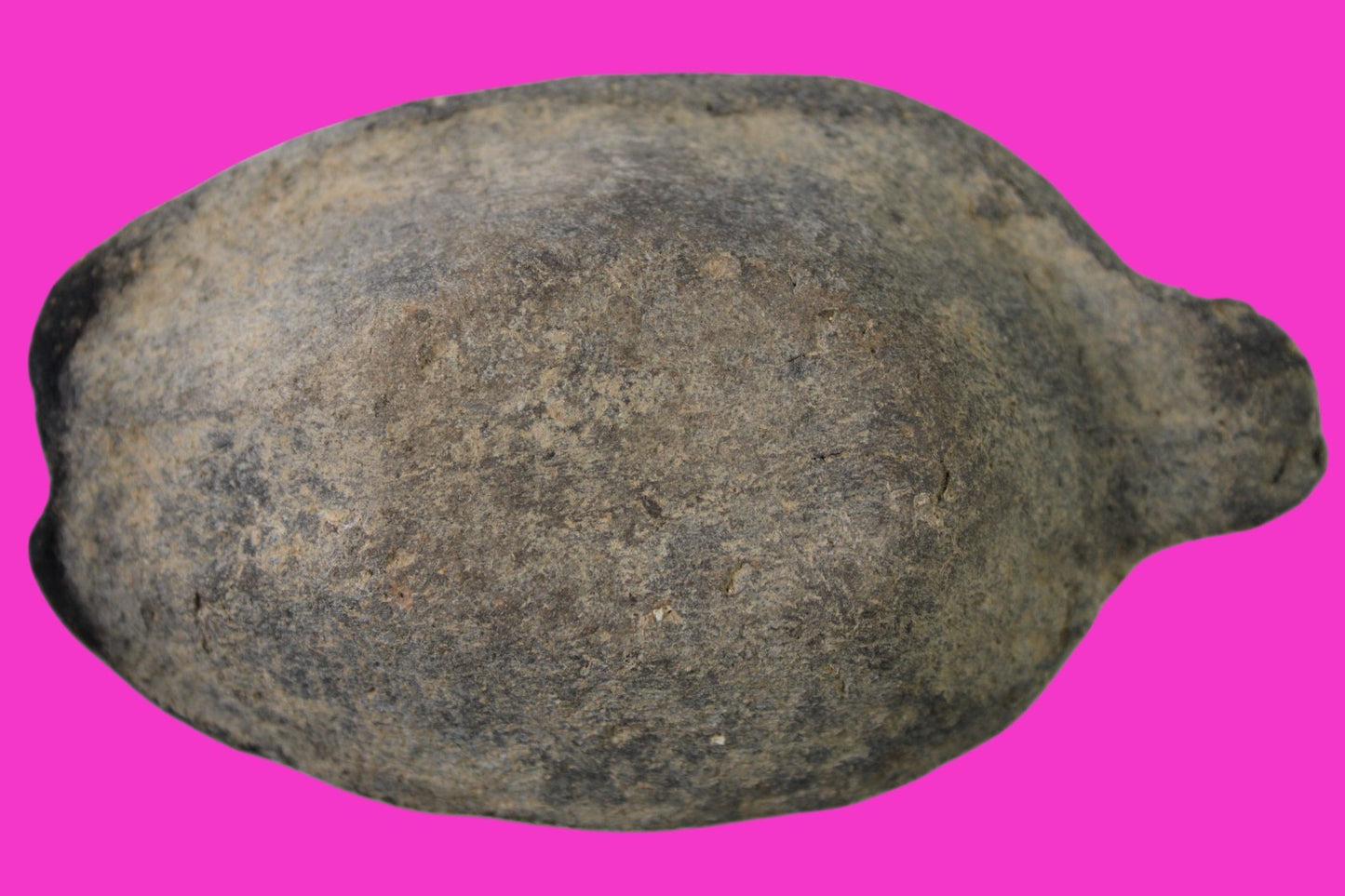 Oil Lamp Holy Land Ancient Artifact Jesus Christ Home Israel 300-600 AD COA 116