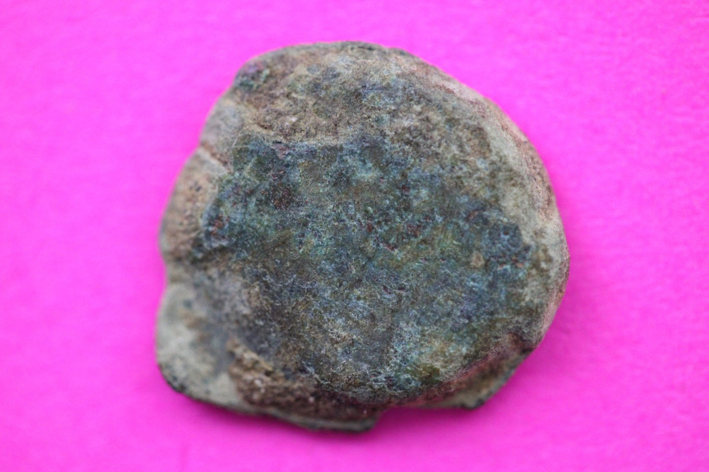 Widows Mite Coin Holy Land Artifact Free Display Frame Jesus Christ Lifetime 93