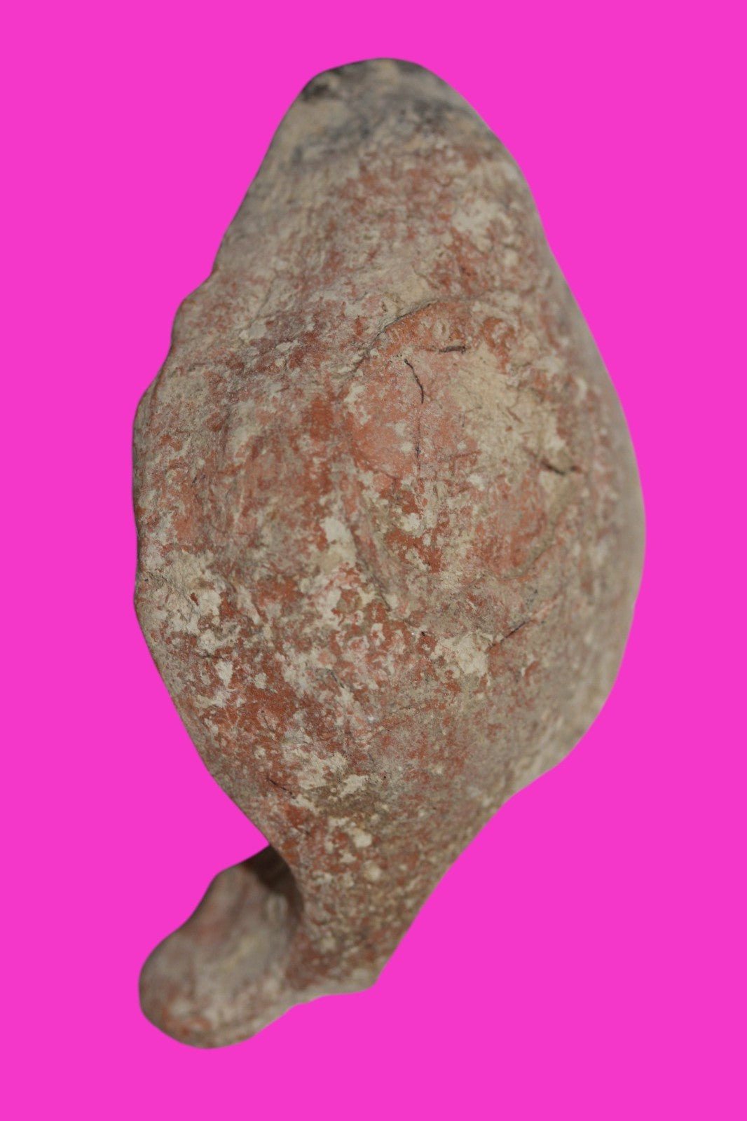 Oil Lamp Holy Land Ancient Artifact Jesus Christ Home Israel 100-400 AD COA J108