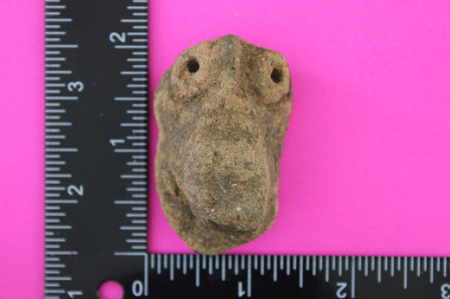 Puerto Rico Taino Pre Columbian Pottery Artifact FREE Display Case 1000AD COA 83