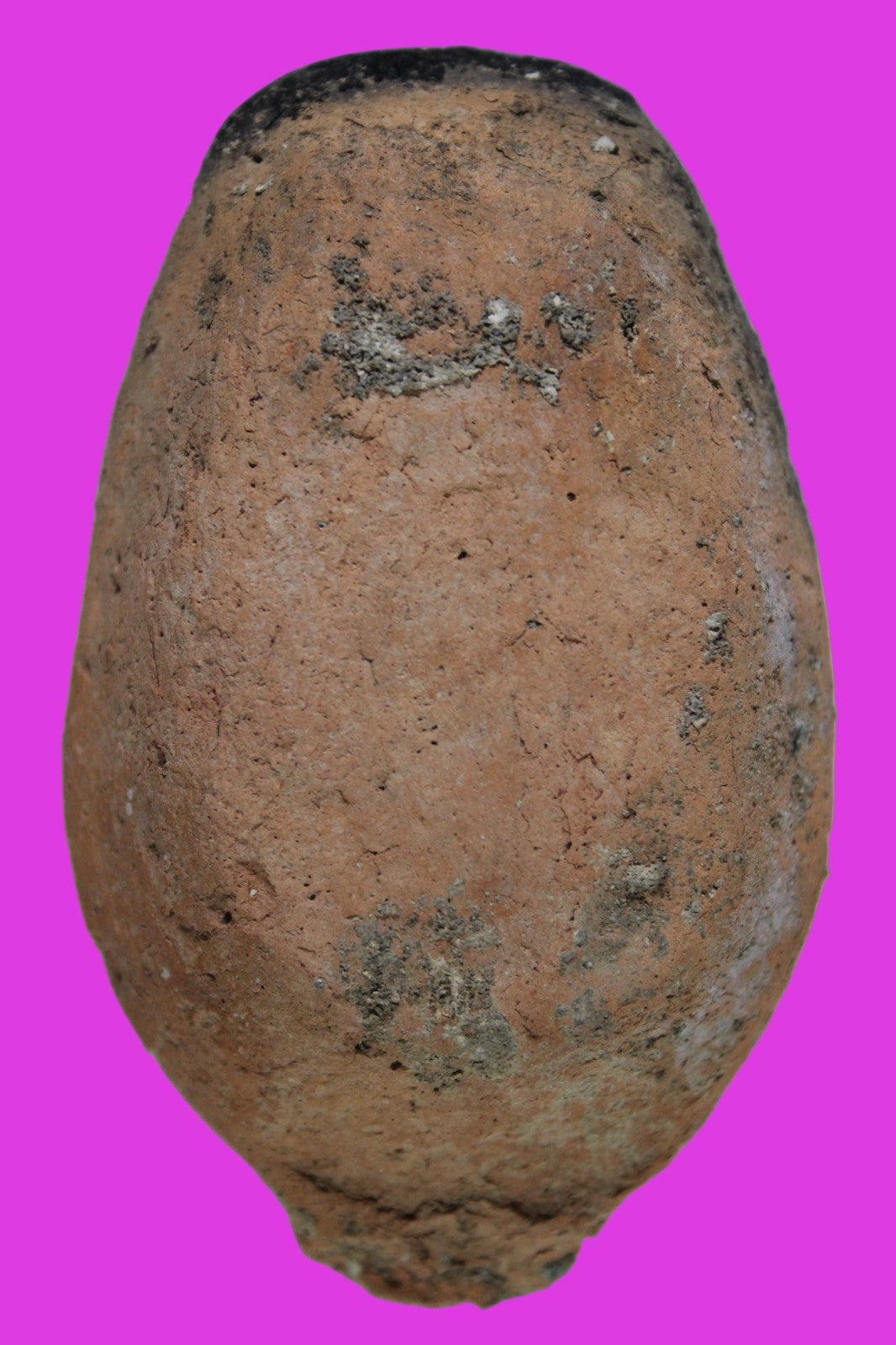 Ancient Holy Land Oil Lamp Artifact Jesus Christ Home Israel 300-600 AD COA 133