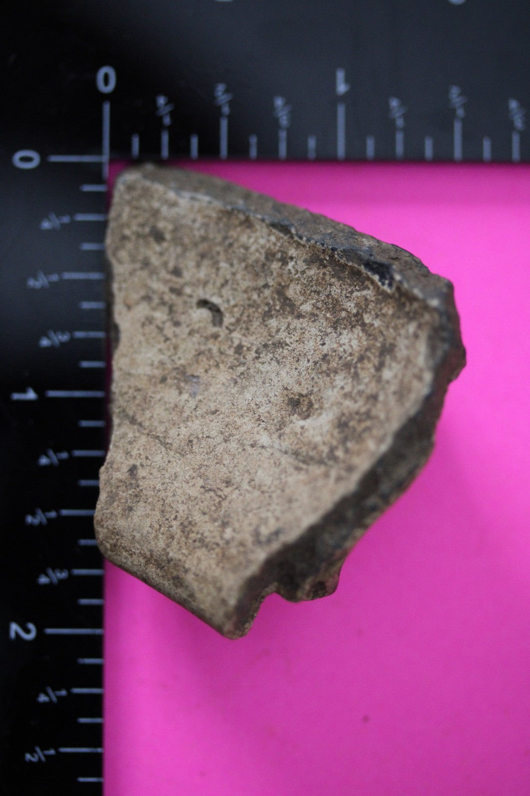 Puerto Rico Taino Pre Columbian Pottery Artifact FREE Display Case 1000AD COA 13