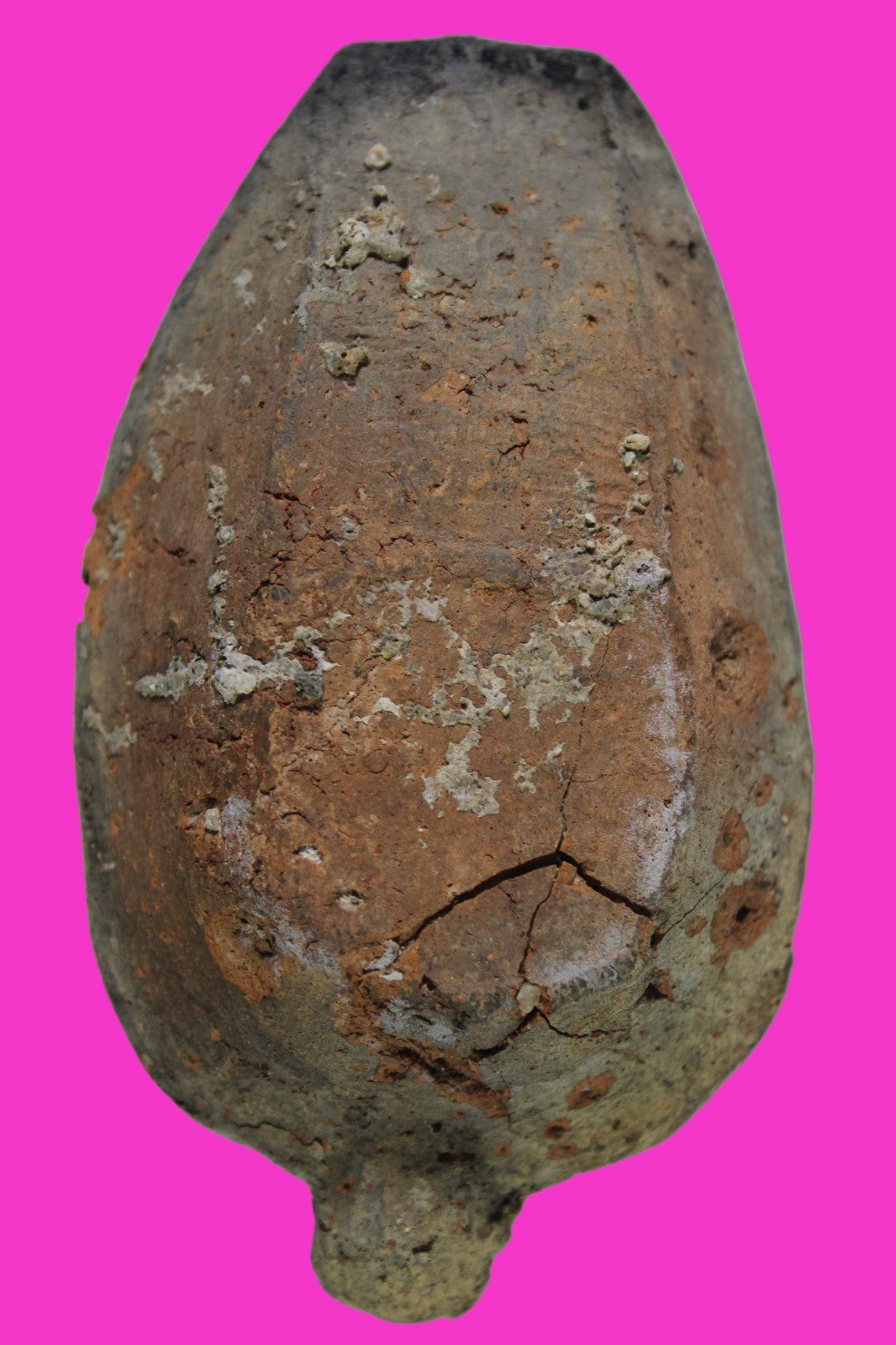 Ancient Holy Land Oil Lamp Artifact 2 Hidden Christian Crosses 300-600AD COA 136