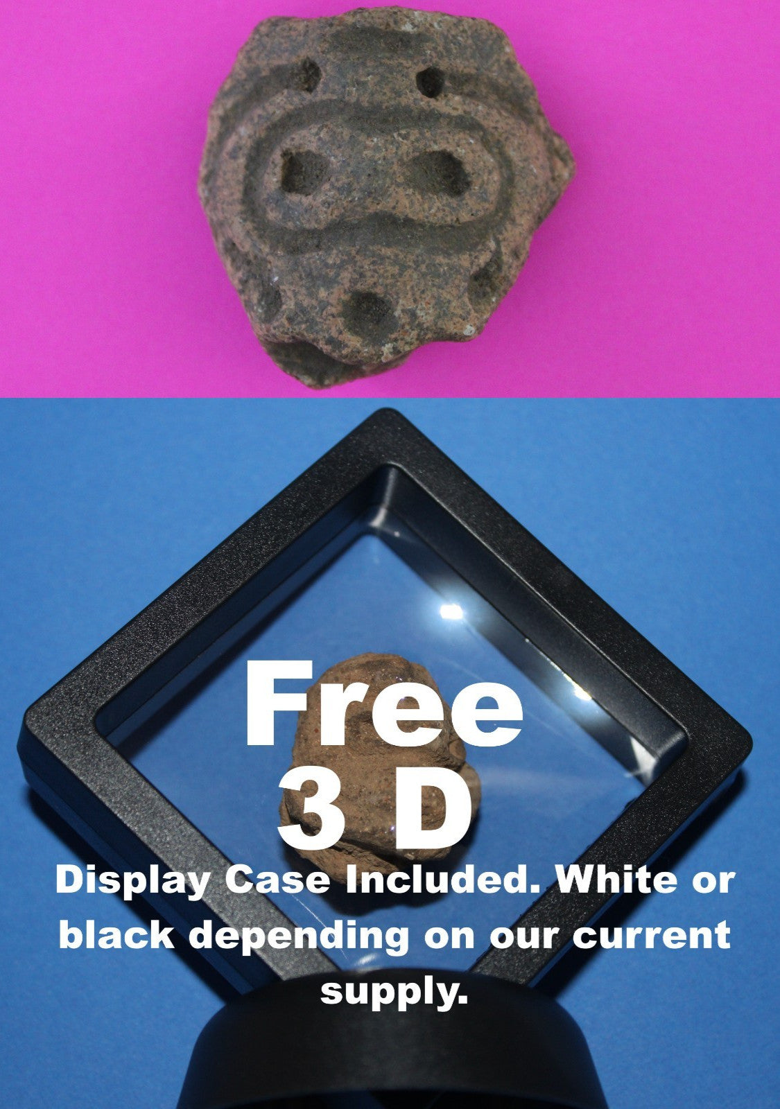 Puerto Rico Taino Pre Columbian Pottery Artifact FREE Display Case 1000AD COA 94