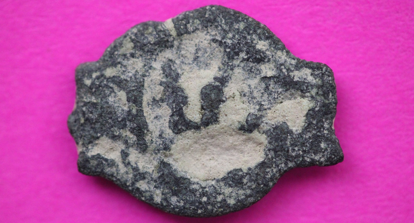 Widows Mite Coin Holy Land Artifact Free Display Frame Jesus Christ Lifetime 85