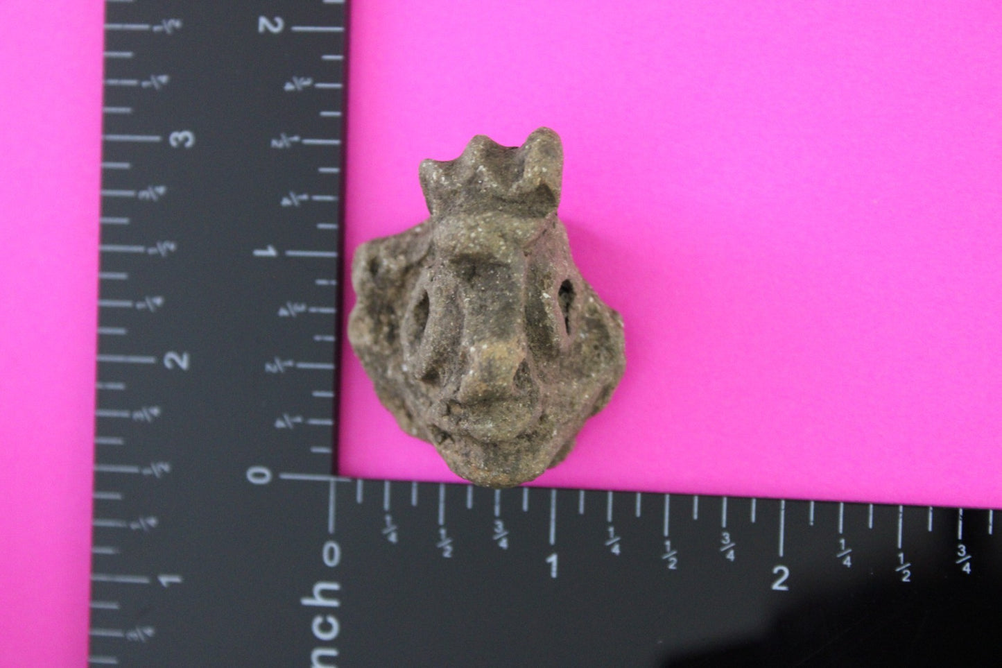 Puerto Rico Taino Pre Columbian Pottery Artifact FREE Display Case 1000AD COA 98