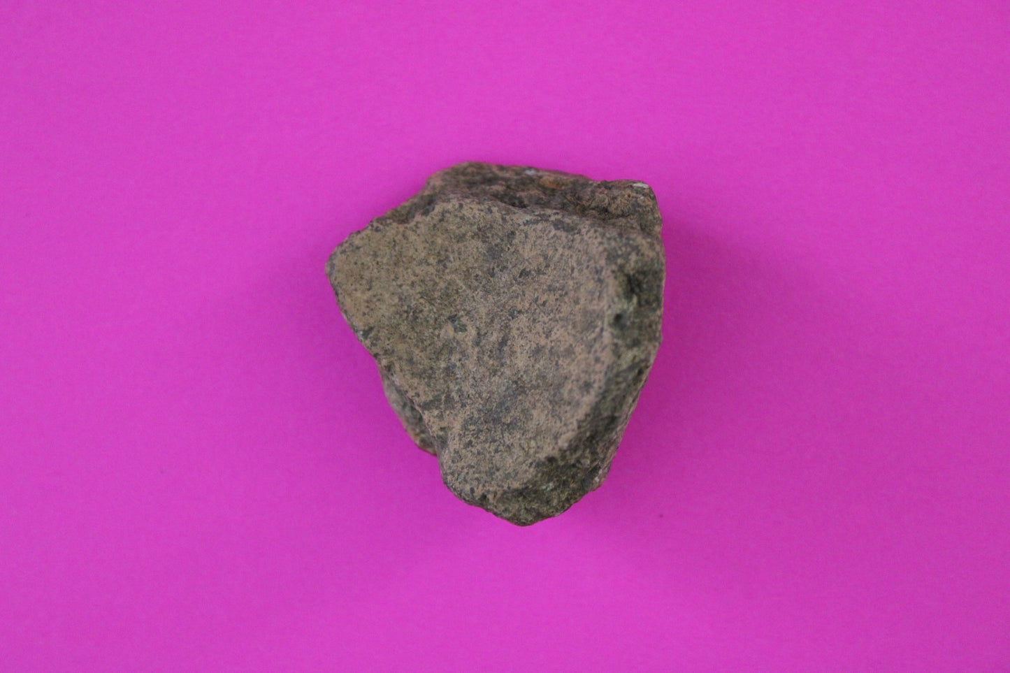 Puerto Rico Taino Pre Columbian Pottery Artifact FREE Display Case 1000AD COA 94