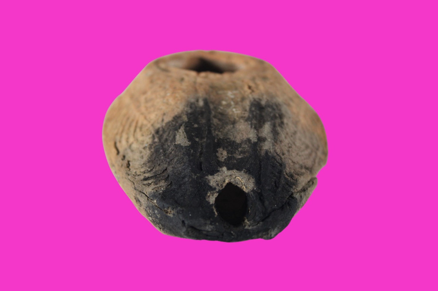 Ancient Holy Land Oil Lamp Artifact 2 Hidden Christian Crosses 300-600AD COA 135