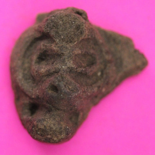 Puerto Rico Taino Pre Columbian Pottery Artifact FREE Display Case 1000AD COA 39