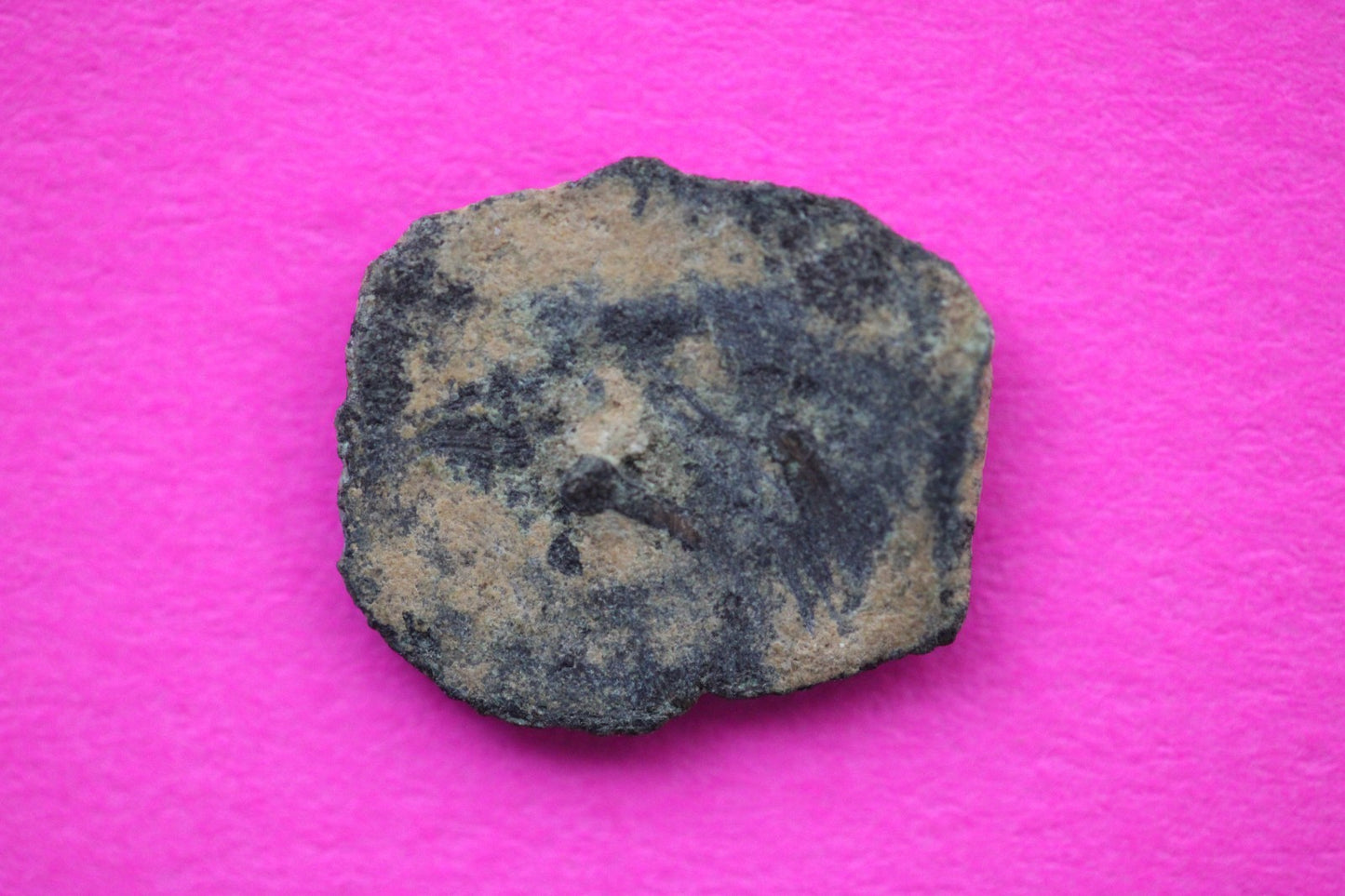 Widows Mite Coin Holy Land Artifact Free Display Frame Jesus Christ Lifetime 151