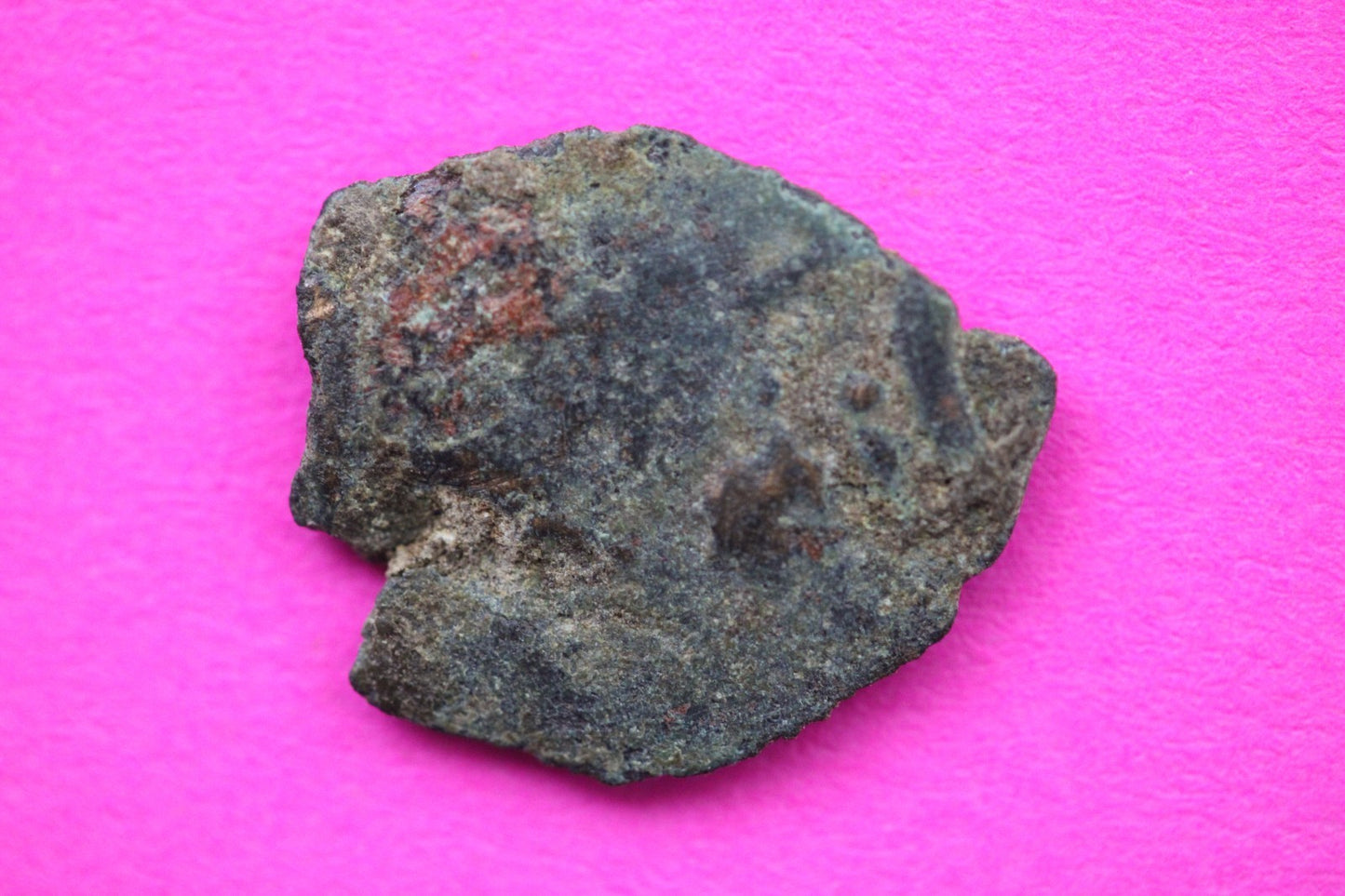 Widows Mite Coin Holy Land Artifact Free Display Frame Jesus Christ Lifetime 44