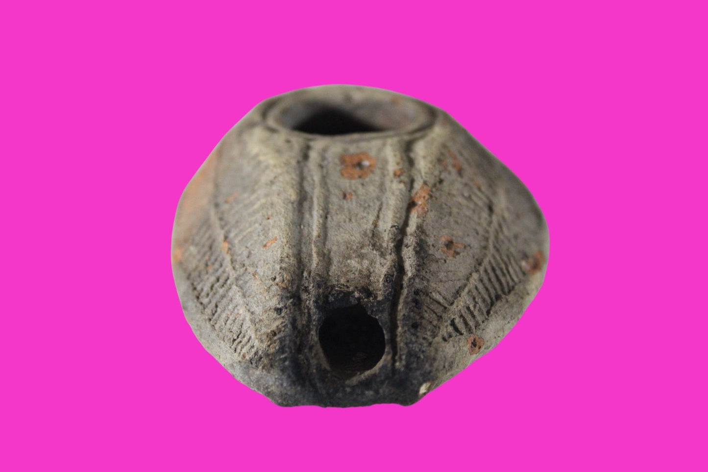 Oil Lamp Holy Land Ancient Artifact Jesus Christ Home Israel 300-600 AD COA 72