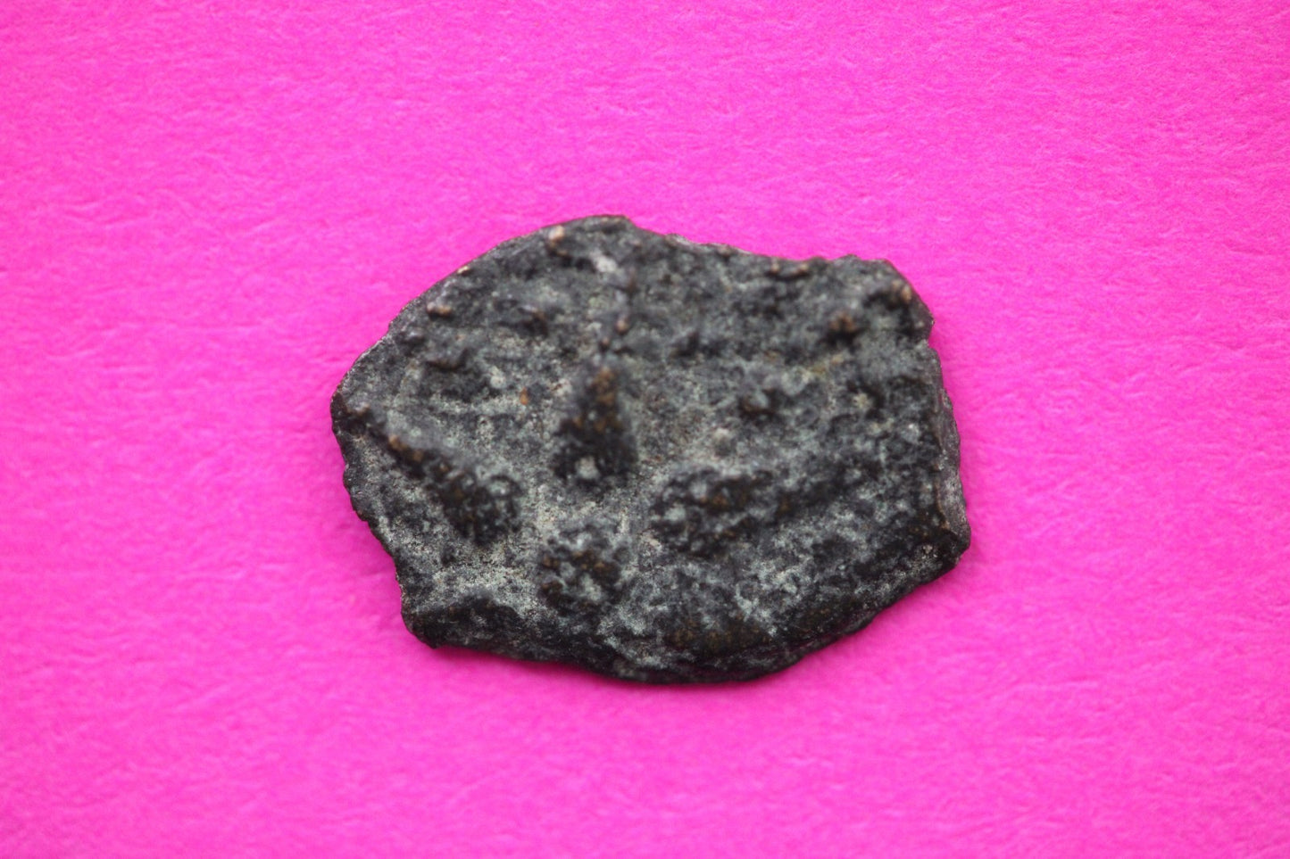 Widows Mite Coin Holy Land Artifact Free Display Frame Jesus Christ Lifetime 152