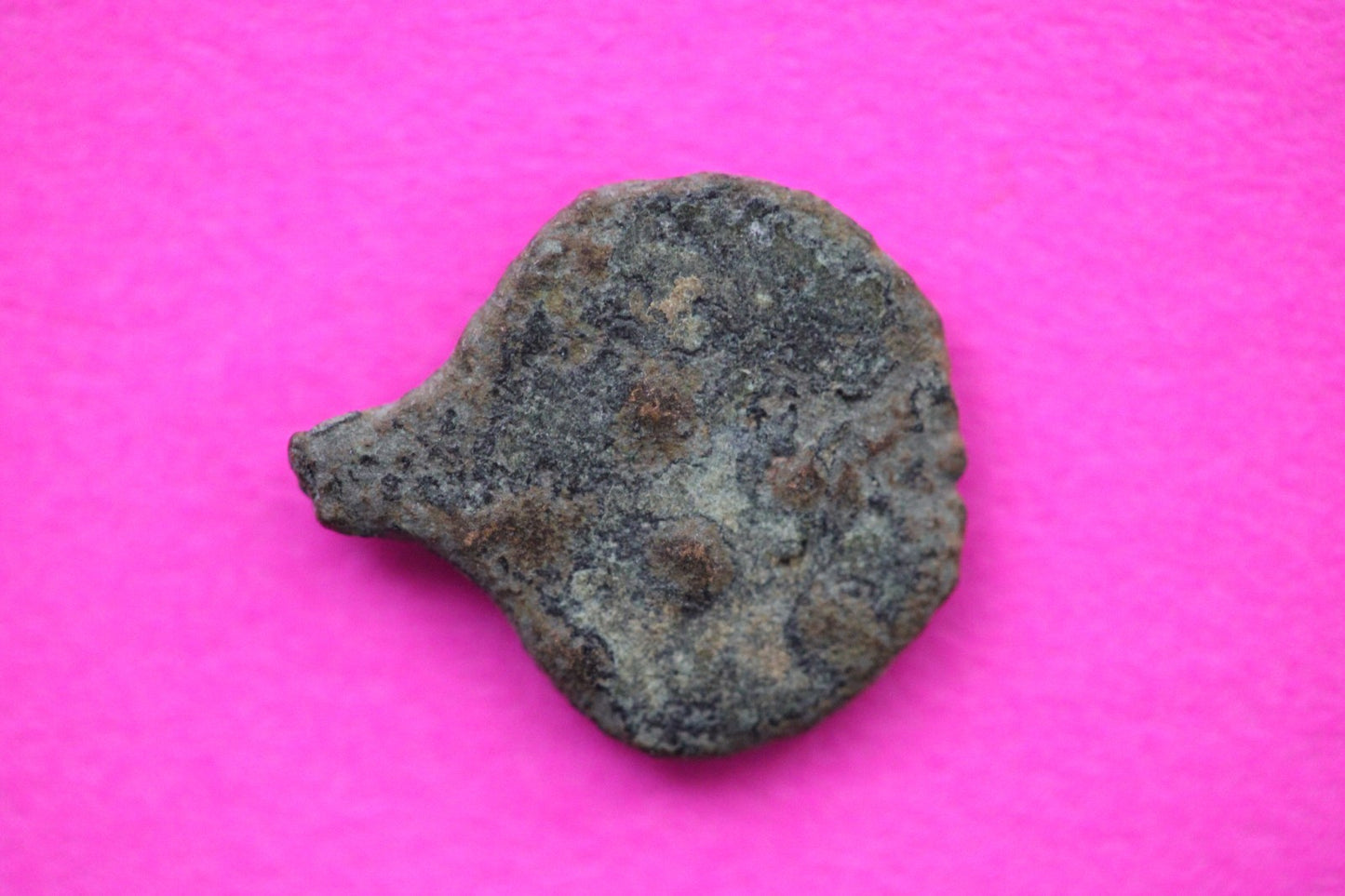 Widows Mite Coin Holy Land Artifact Free Display Frame Jesus Christ Lifetime 53