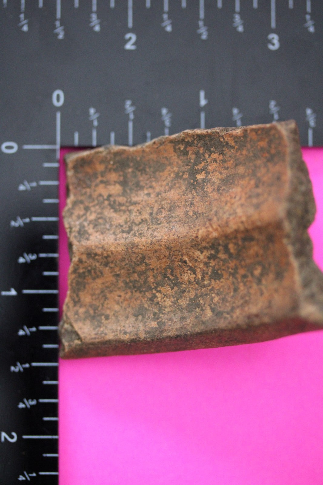 Puerto Rico Taino Pre Columbian Pottery Artifact FREE Display Case 1000AD COA 32