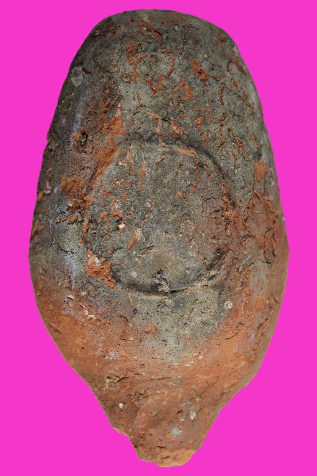 Oil Lamp Holy Land Ancient Artifact Jesus Christ Home Israel 300-600 AD COA 101