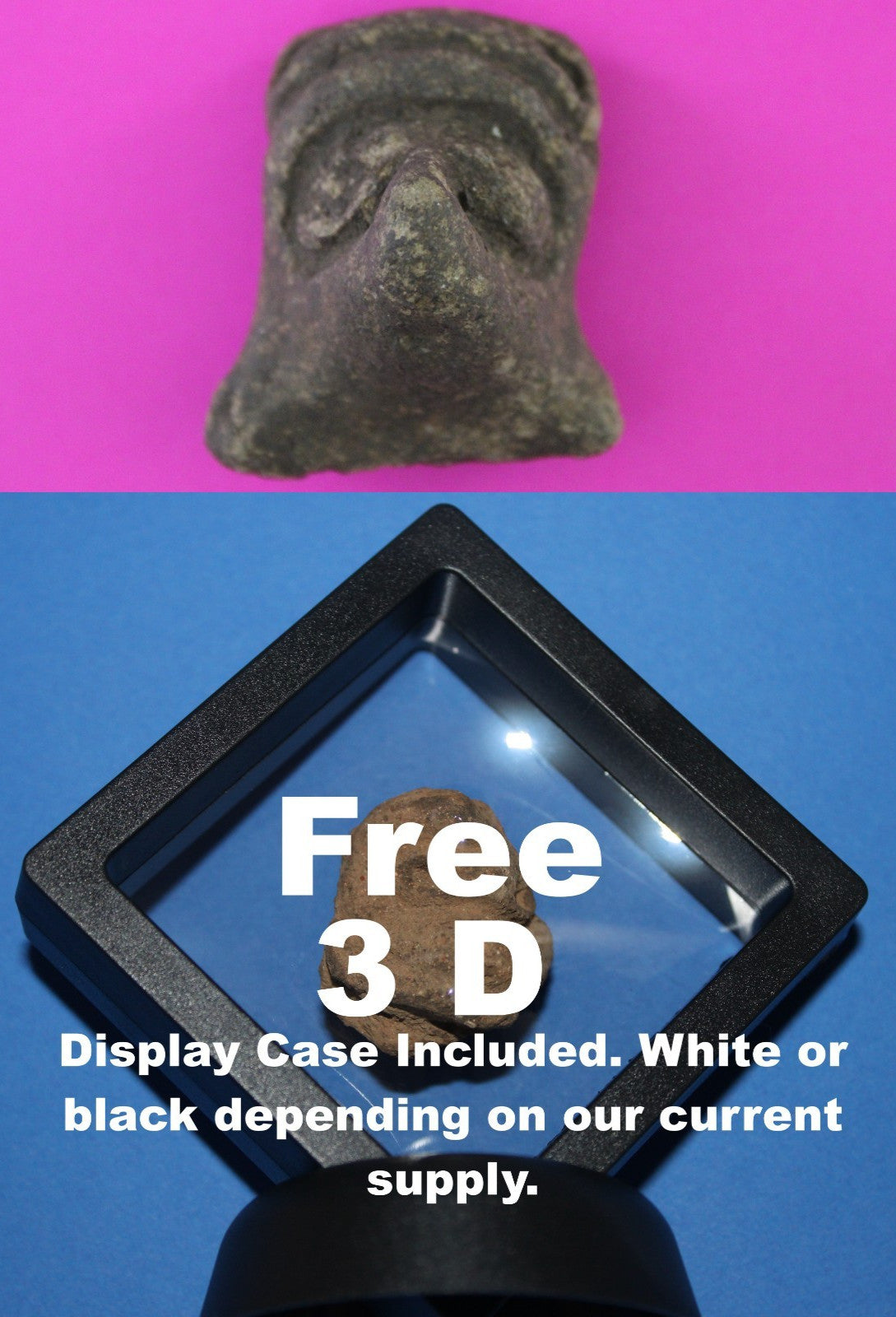 Puerto Rico Taino Pre Columbian Pottery Artifact FREE Display Case 1000AD COA 81