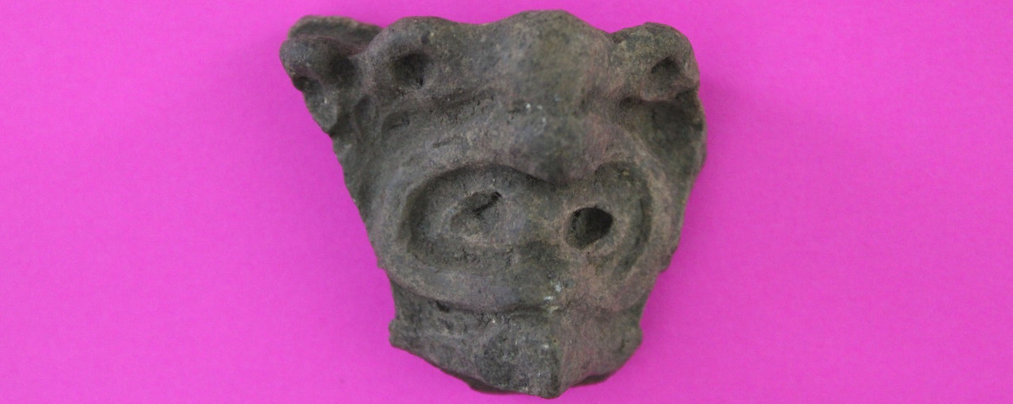 Puerto Rico Taino Pre Columbian Pottery Artifact FREE Display Case 1000AD COA 91