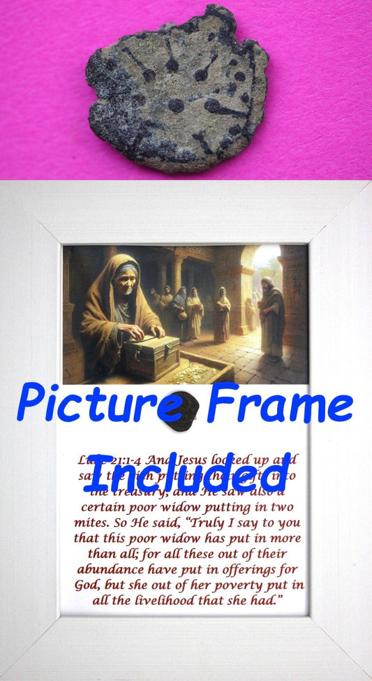 Widows Mite Coin Holy Land Artifact Free Display Frame Jesus Christ Lifetime 209
