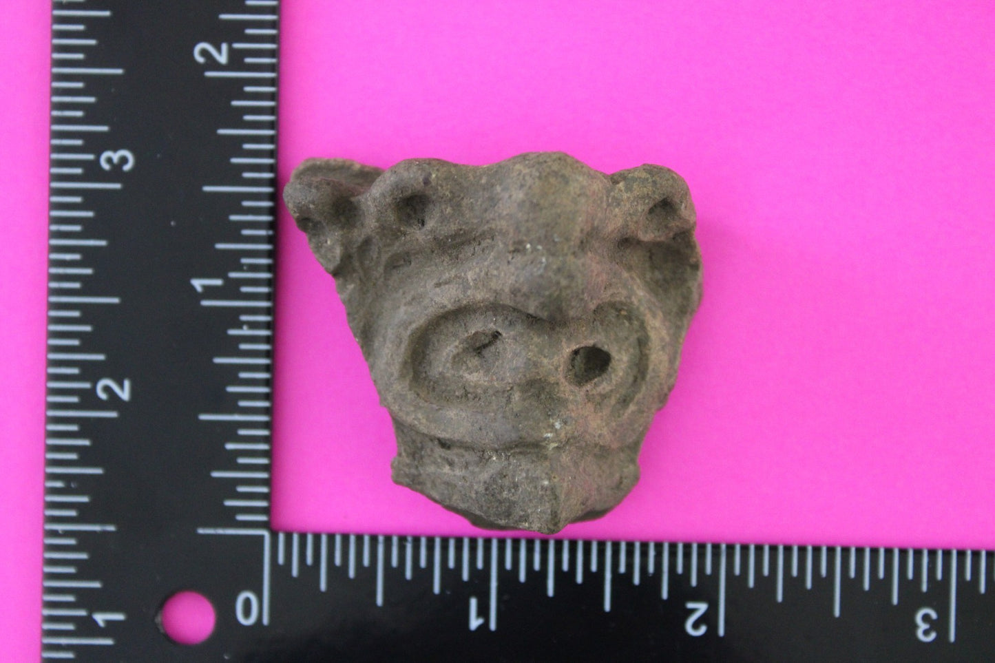 Puerto Rico Taino Pre Columbian Pottery Artifact FREE Display Case 1000AD COA 91