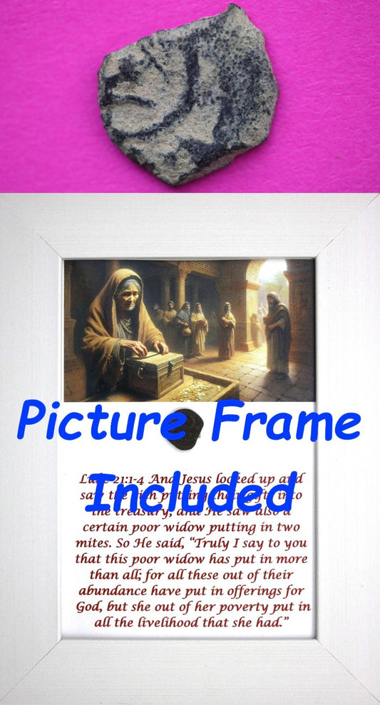 Widows Mite Coin Holy Land Artifact Free Display Frame Jesus Christ Lifetime 160